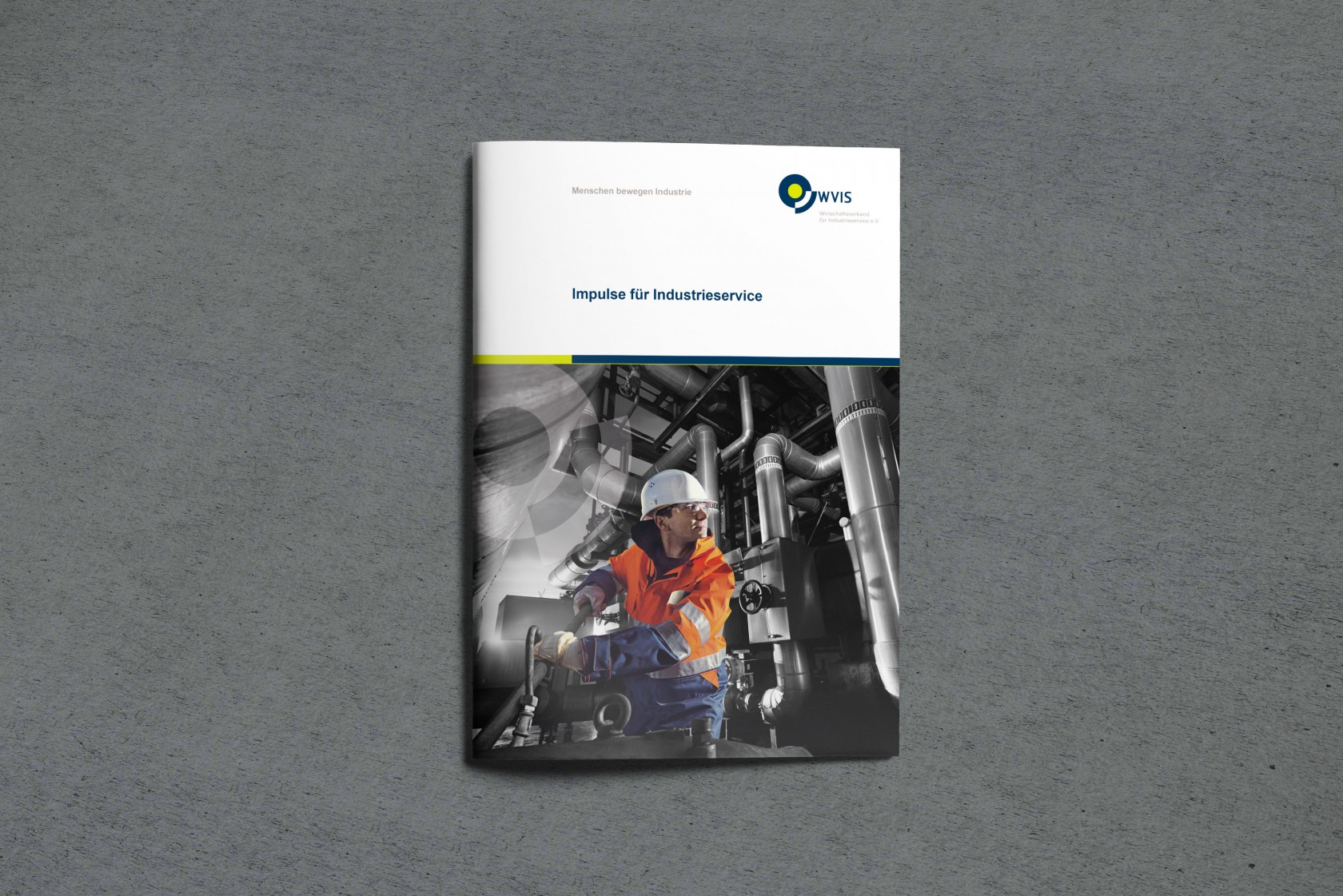 wvis Broschuere Titelseite